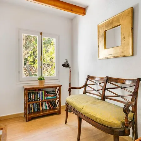 Delfin * Sant Lluís