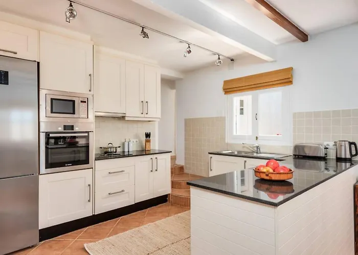 Delfin סנט לואיס