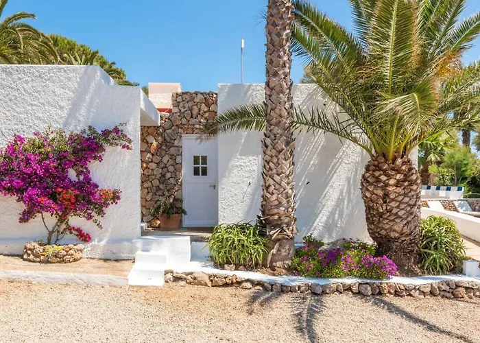 Delfin * סנט לואיס